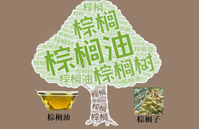 XM官网:油脂市场录得三周首个周涨幅：能源溢价与汇率走弱支撑棕榈油价格